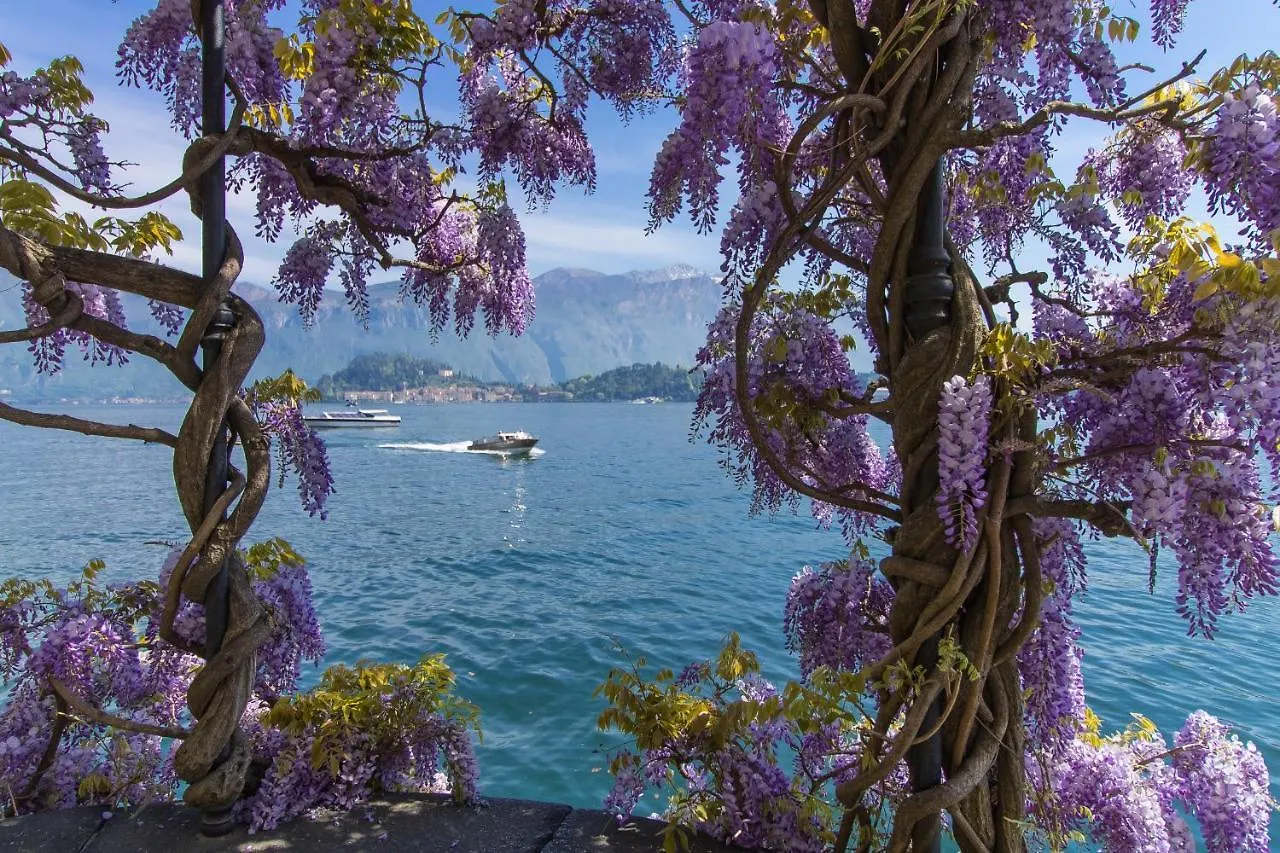 Casa Salice Apartment Musso Italy